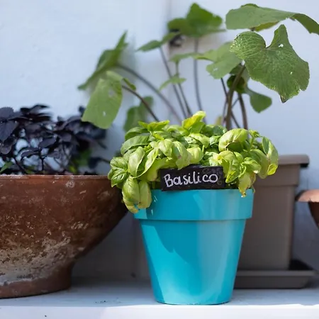 Punto Marina di Campo