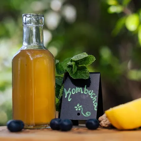 Punto Ξενοδοχείο Marina di Campo