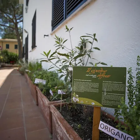 Hotel Punto
