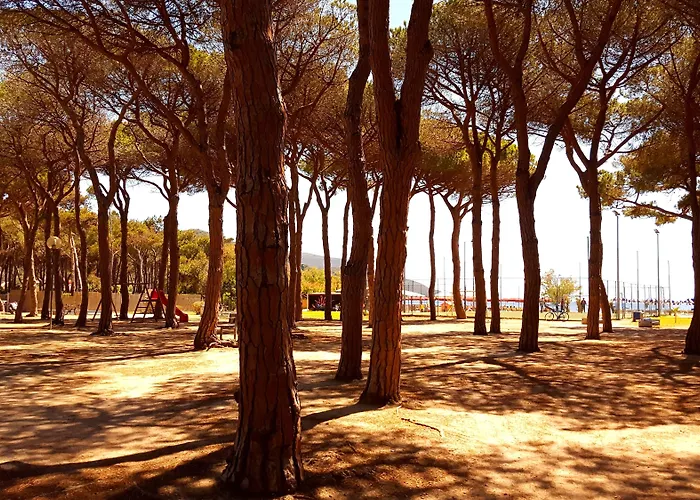 Hotel Punto Marina di Campo